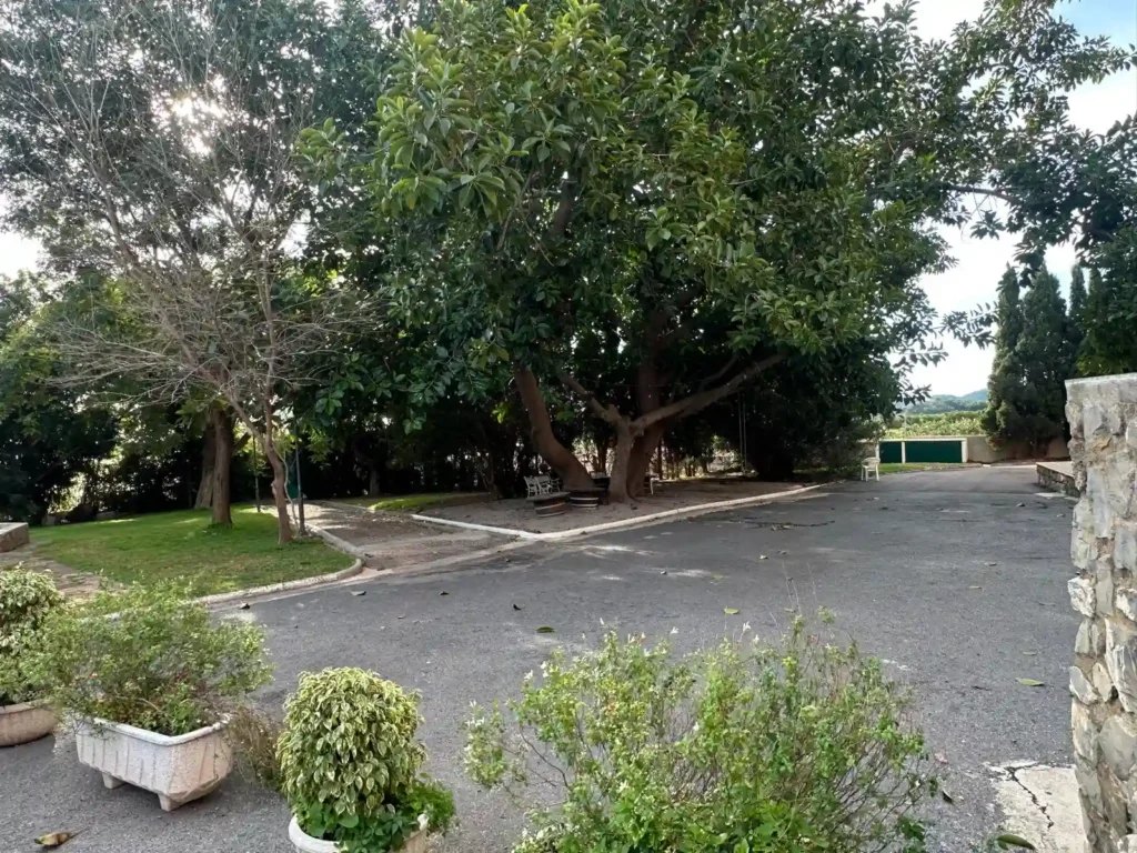 WhatsApp Image 2026-03-01 at 15.15.37(1)