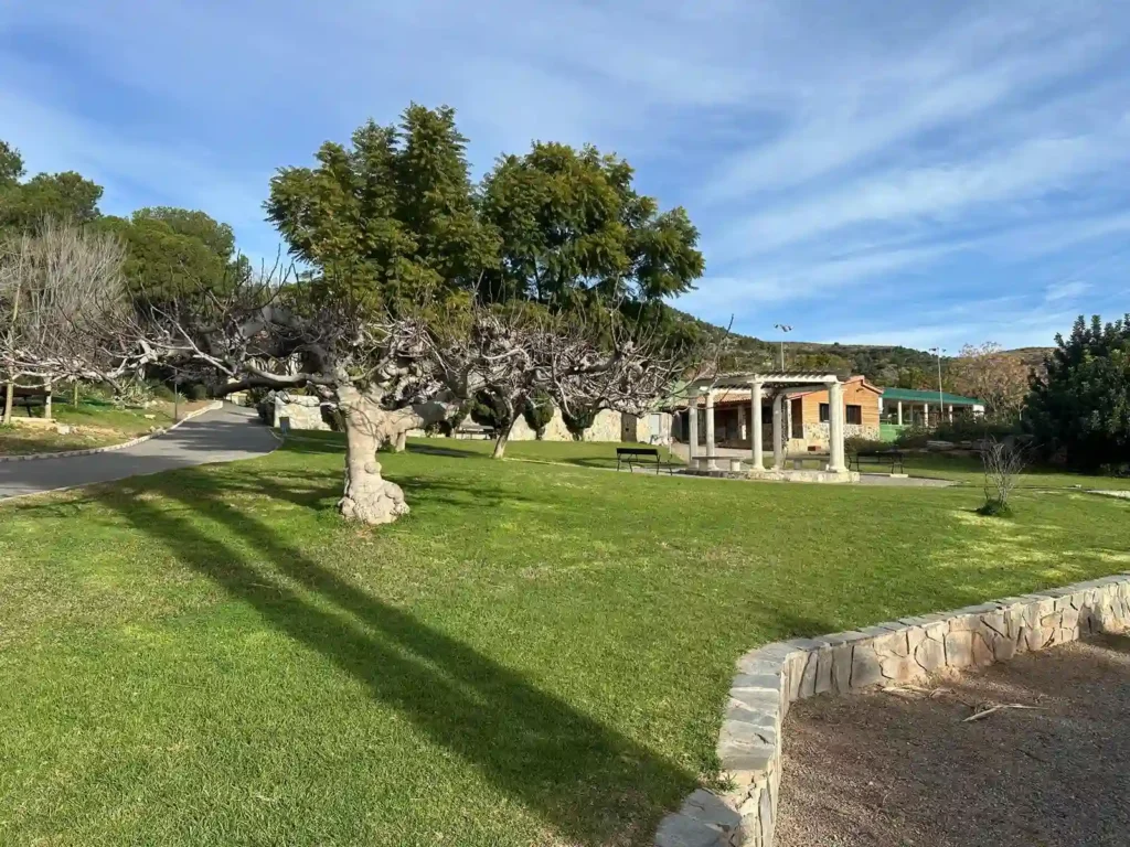 WhatsApp Image 2026-03-01 at 15.15.37(2)