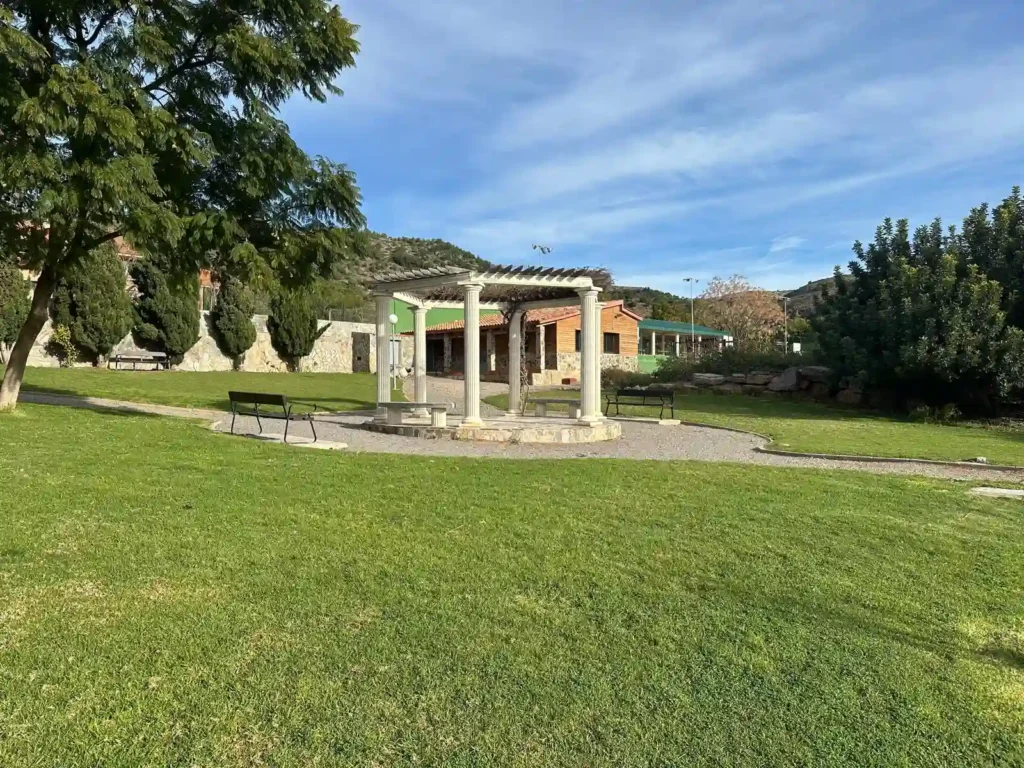 WhatsApp Image 2026-03-01 at 15.15.37(3)