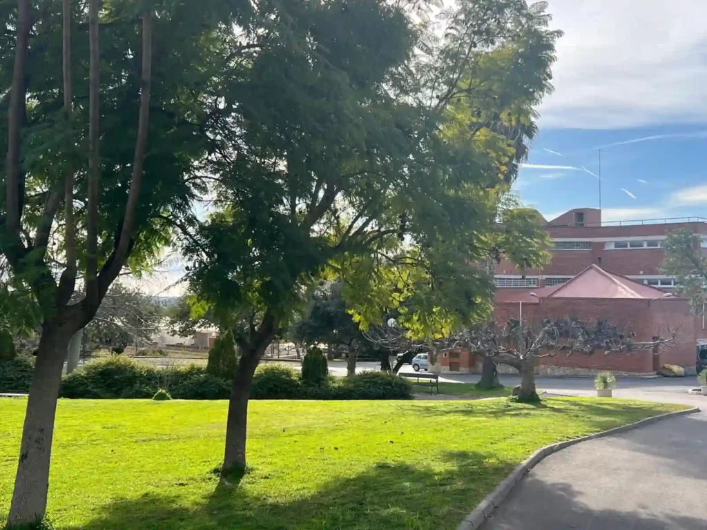 WhatsApp Image 2026-03-01 at 15.15.37(5)